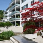 4½-Zimmer-Wohnung: Leben am Luzerner Seebecken