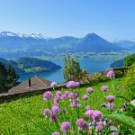 Ferienhaus an traumhafter Aussichtslage