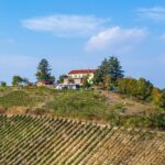 Verschenken Sie keinen Wein – verschenken Sie einen Weinberg