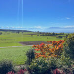 Ein Ort zum Aufblühen – Sonnenplatz über dem Nebelmeer