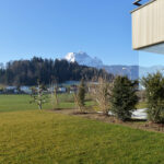Grosszügige 2½-Zimmer-Gartenwohnung im Felmispark