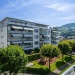 See, Lebensqualität, Steuerbonus – willkommen in Küssnacht