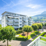 See, Lebensqualität, Steuerbonus – willkommen in Küssnacht